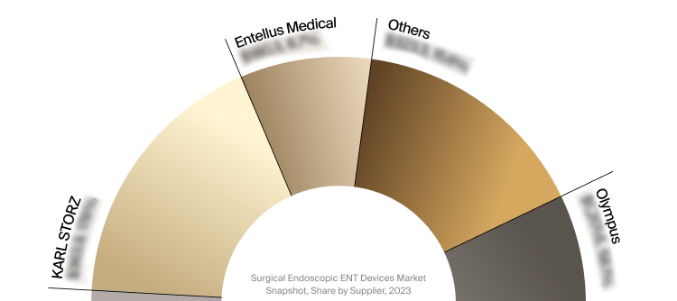 Sneak peek of the surgical endoscopic ENT devices market competitor analysis.