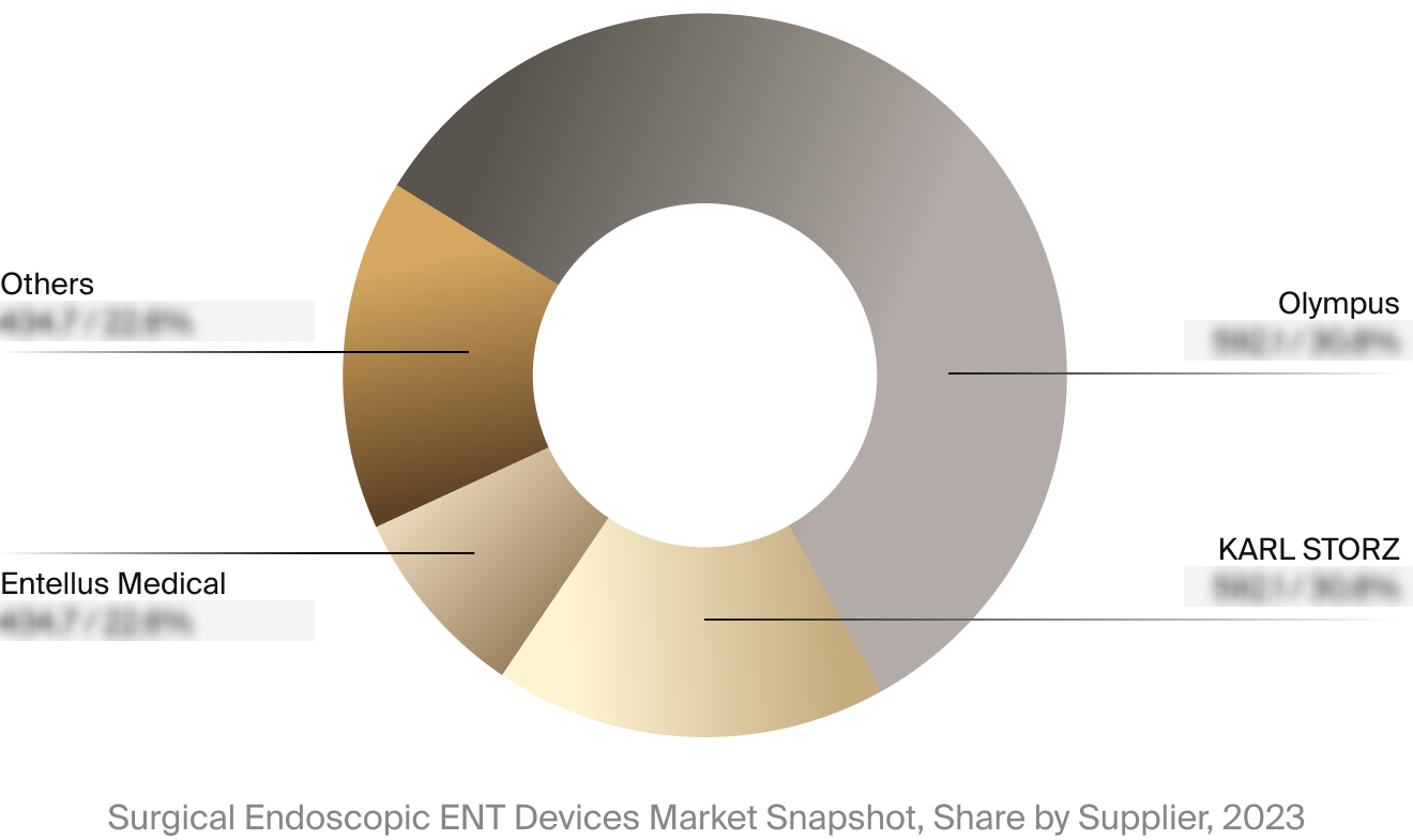 Surgical endoscopic ENT devices market competitor breakdown.