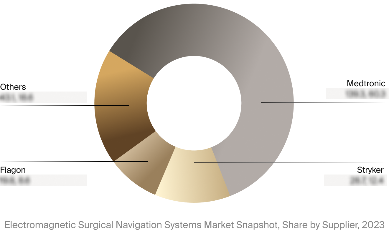 Electromagnetic surgical navigation systems market competitor breakdown.