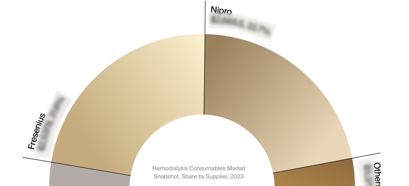 Sneak peek of the hemodialysis consumables market competitor analysis.