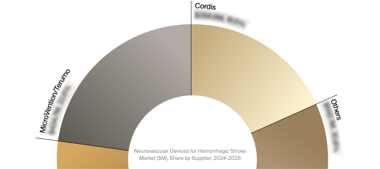 Neurovascular Devices for Hemorrhagic Stroke Market Snapshot 2024-2028