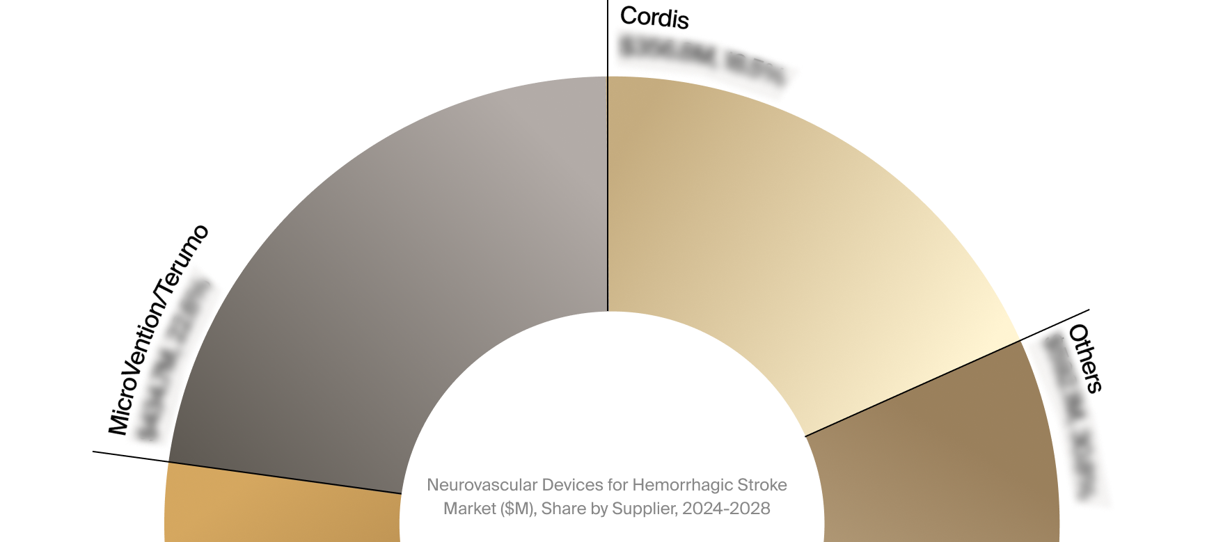 Neurovascular Devices for Hemorrhagic Stroke Market Snapshot 2024-2028