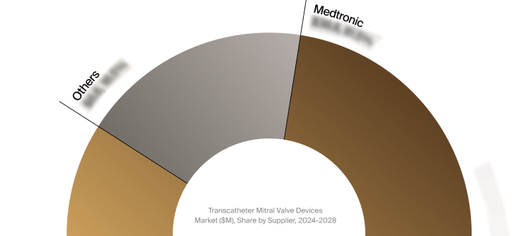 Renal Denervation Devices Market Snapshot 2024-2028