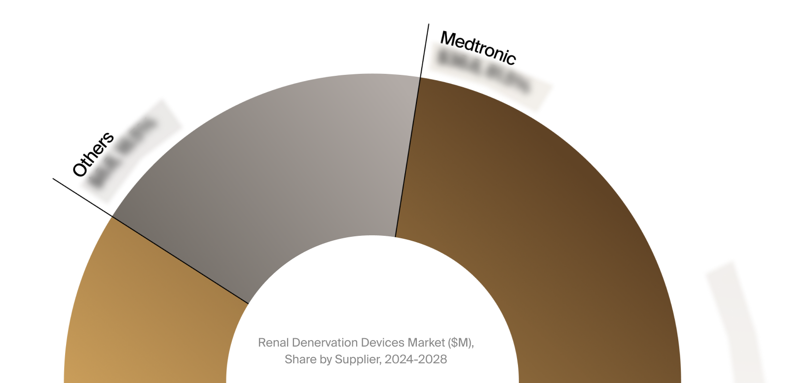 Renal Denervation Devices Market Snapshot 2024-2028