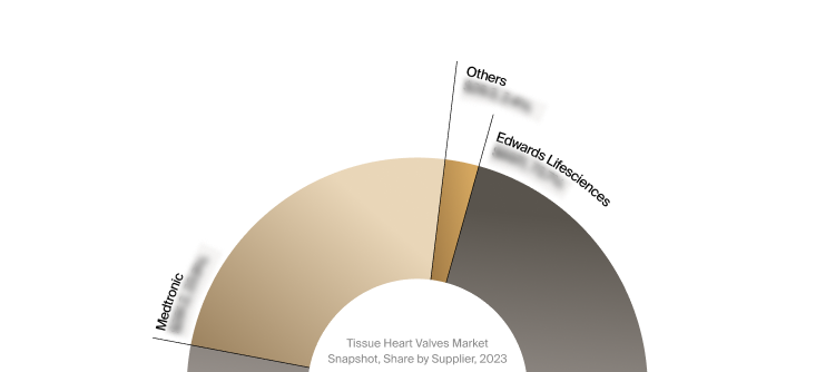 Sneak peek of the tissue heart valves market competitor analysis.