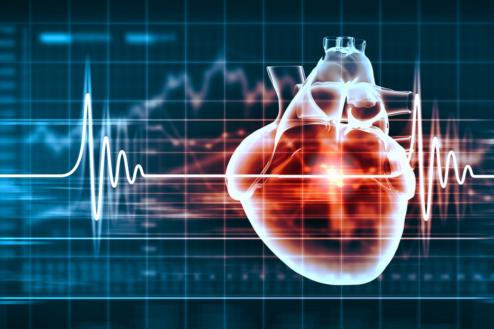 Virtual-image-of-human-heart-with-cardiogram-1